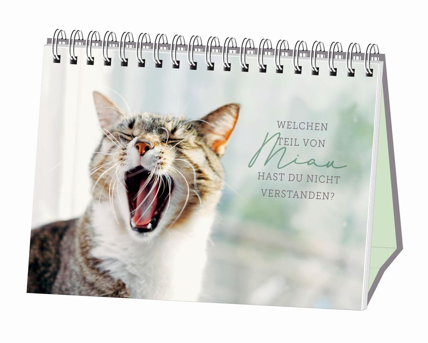 Bild: 9783862297108 | Kleine Tiger, großes Glück! | Spiralbuch | Taschenbuch | 52 S. | 2019