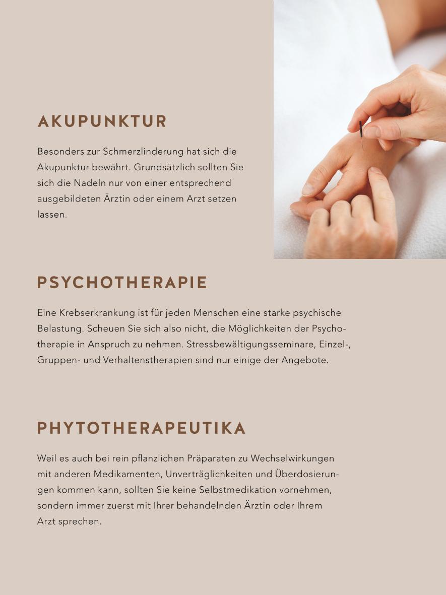 Bild: 9783833862243 | Beschwerdefrei durch die Krebstherapie | Daniela Paepke (u. a.) | Buch