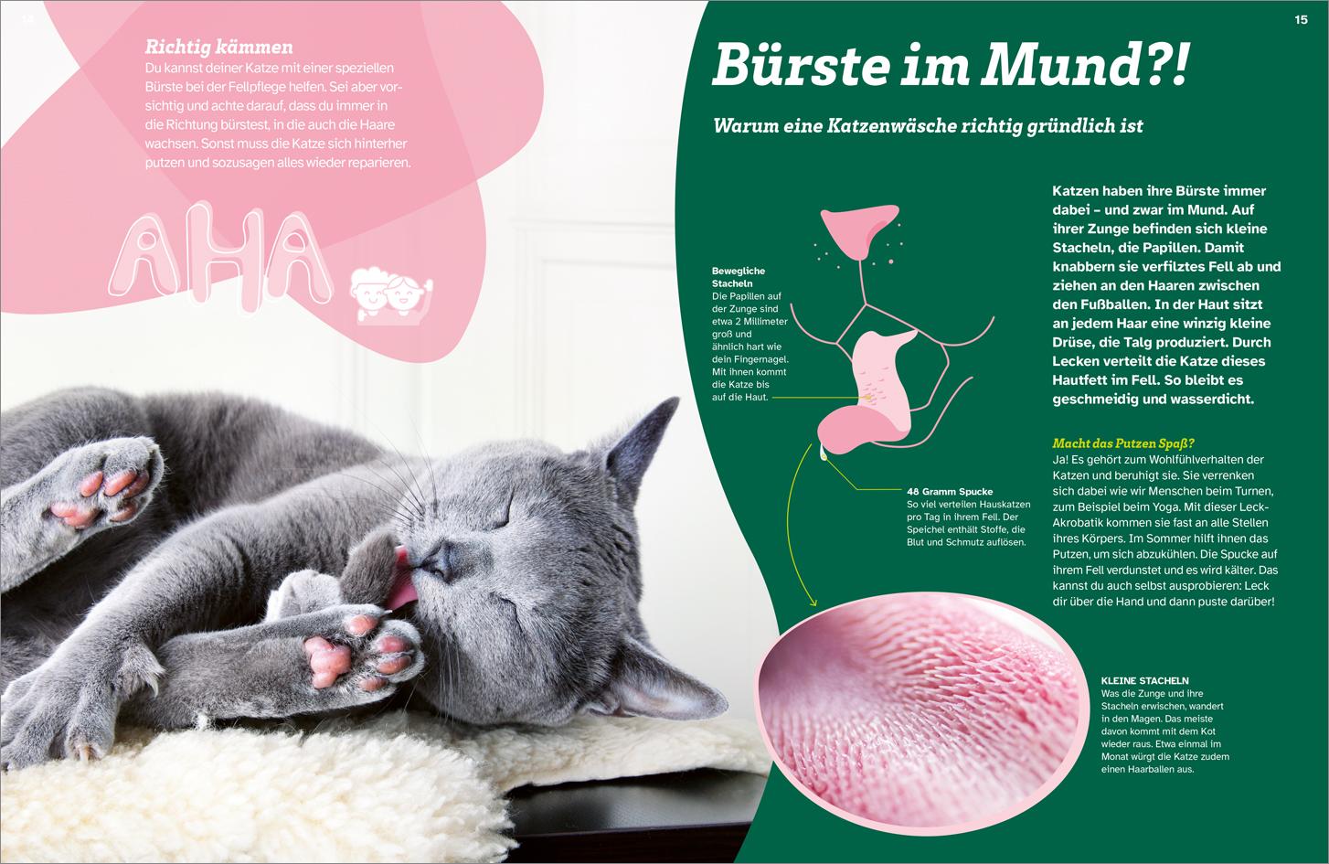 Bild: 9783788681760 | WAS IST WAS Katzen. Eigenwillige Schnurrer | Judith Weber | Buch