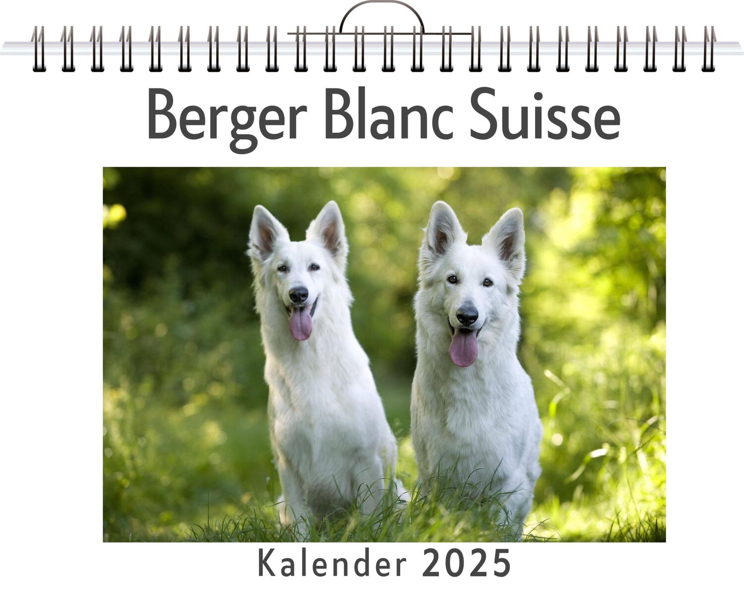 Cover: 9783759132864 | Berger Blanc Suisse | Finn Hartmann | Kalender | Kalender | 14 S.