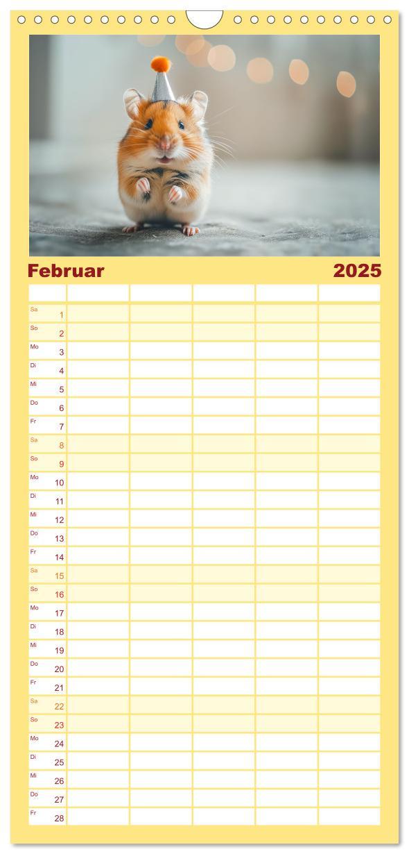 Bild: 9783457193341 | Familienplaner 2025 - Lustige Hamster mit 5 Spalten (Wandkalender,...