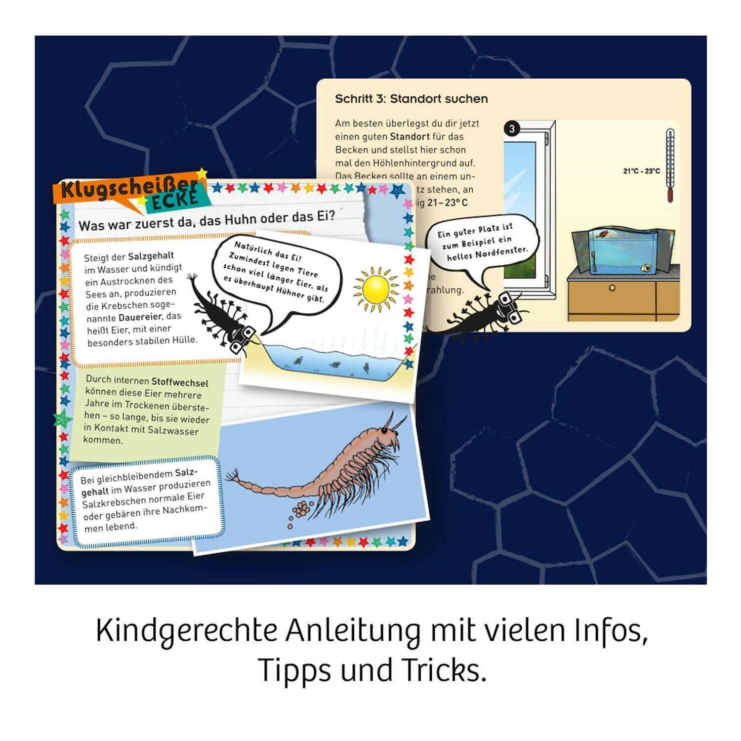 Bild: 4002051654160 | Fun Science Wuselnde Salzkrebse | Experimentierkasten | Spiel | 2019