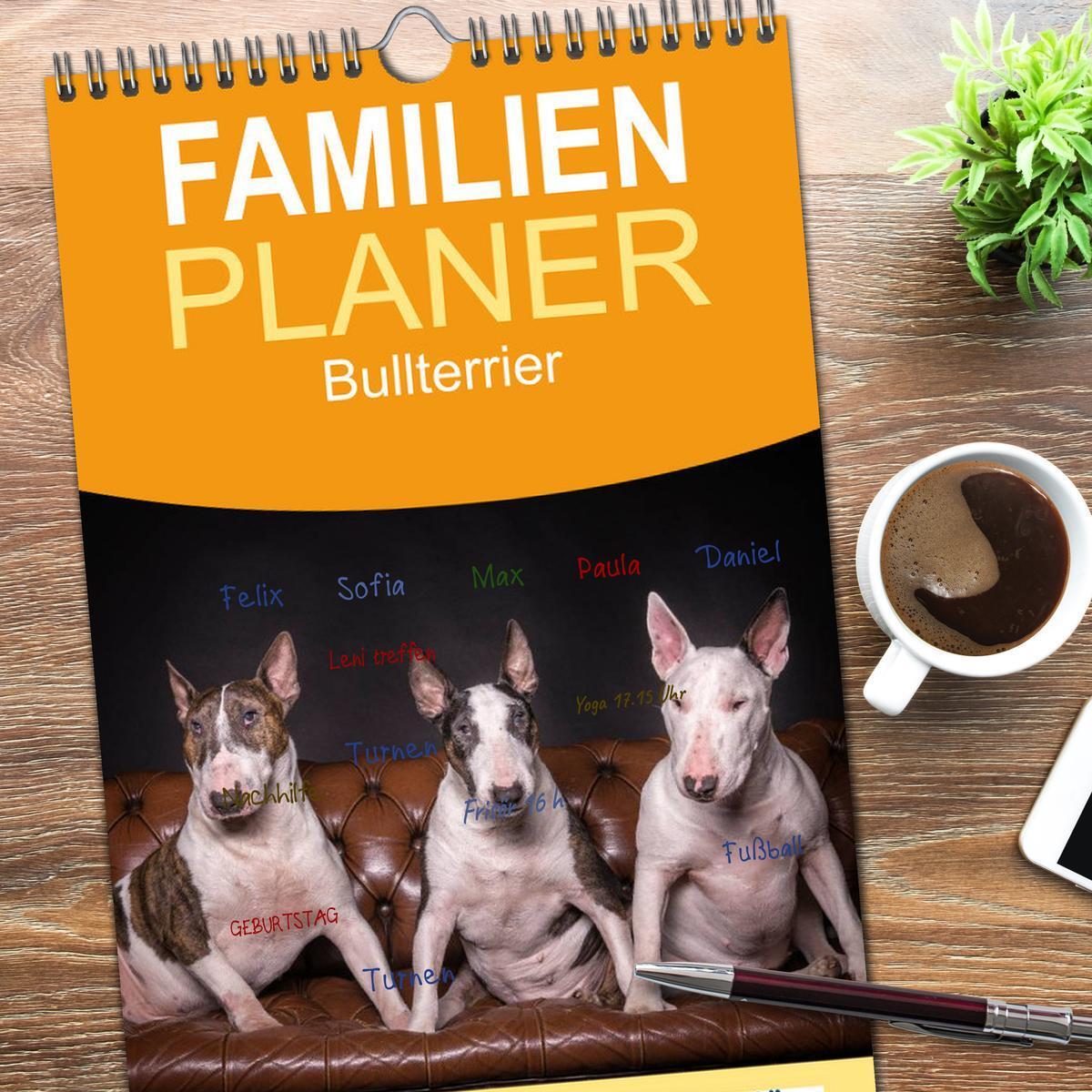 Bild: 9783457123768 | Familienplaner 2025 - Bullterrier mit 5 Spalten (Wandkalender, 21 x...