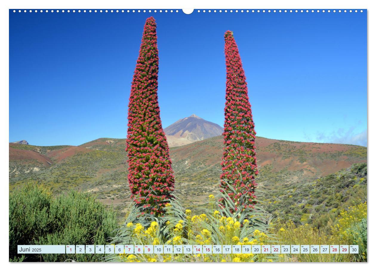 Bild: 9783435086191 | Teneriffa - Insel der Glückseligen (Wandkalender 2025 DIN A2 quer),...