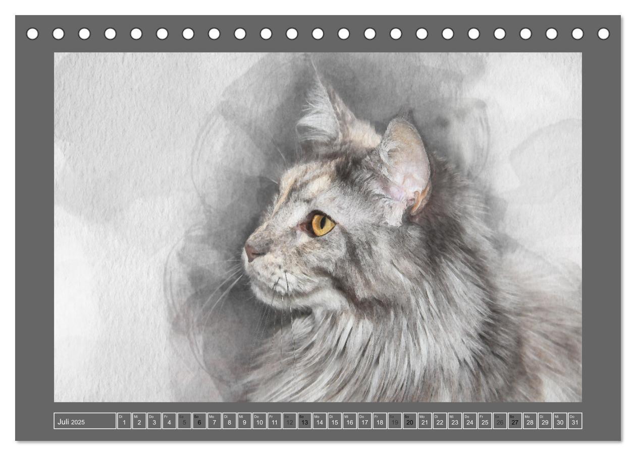 Bild: 9783435023615 | Maine Coon Aquarelle (Tischkalender 2025 DIN A5 quer), CALVENDO...