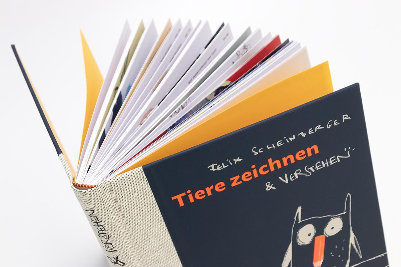 Bild: 9783874399661 | Tiere zeichnen und verstehen | Felix Scheinberger | Buch | 168 S.