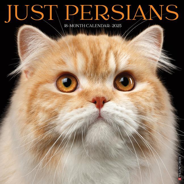 Cover: 9781549246791 | Just Persians 2025 12 X 12 Wall Calendar | Willow Creek Press | 2025