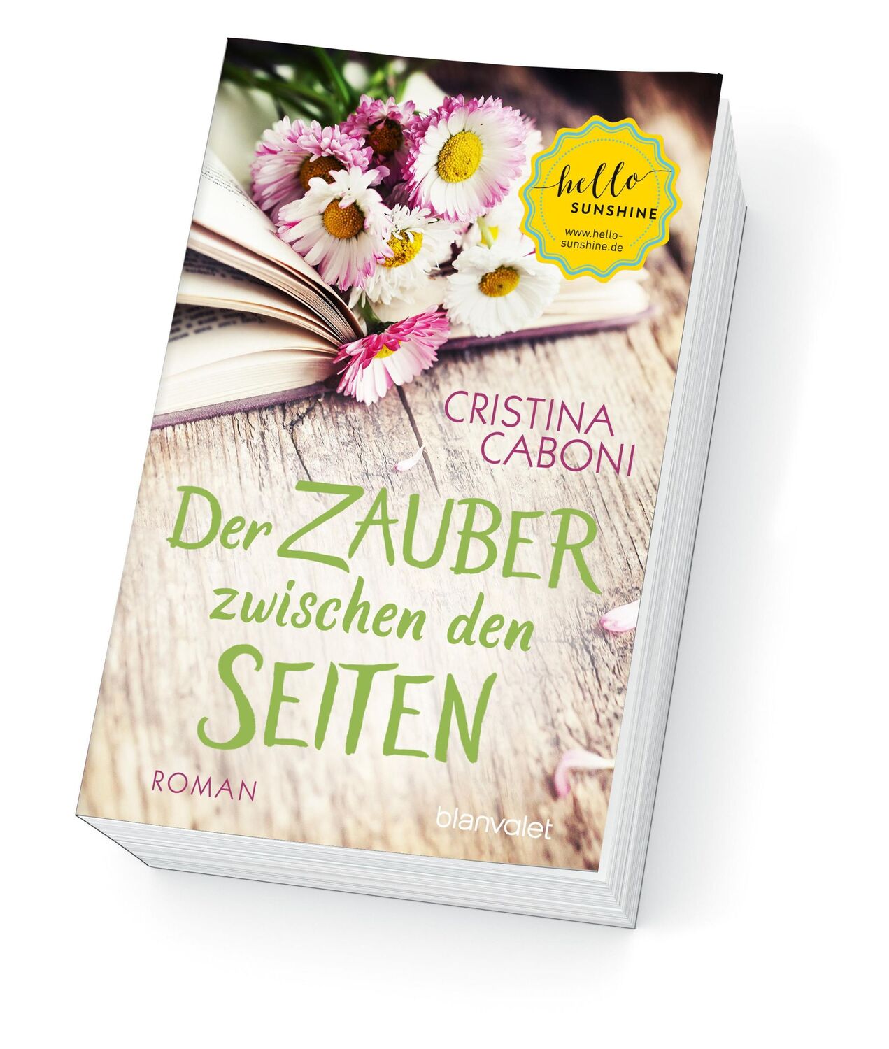 Bild: 9783734105845 | Der Zauber zwischen den Seiten | Roman | Cristina Caboni | Taschenbuch