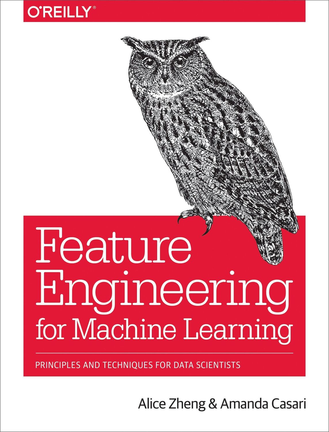 Cover: 9781491953242 | Feature Engineering for Machine Learning | Alice Zheng | Taschenbuch