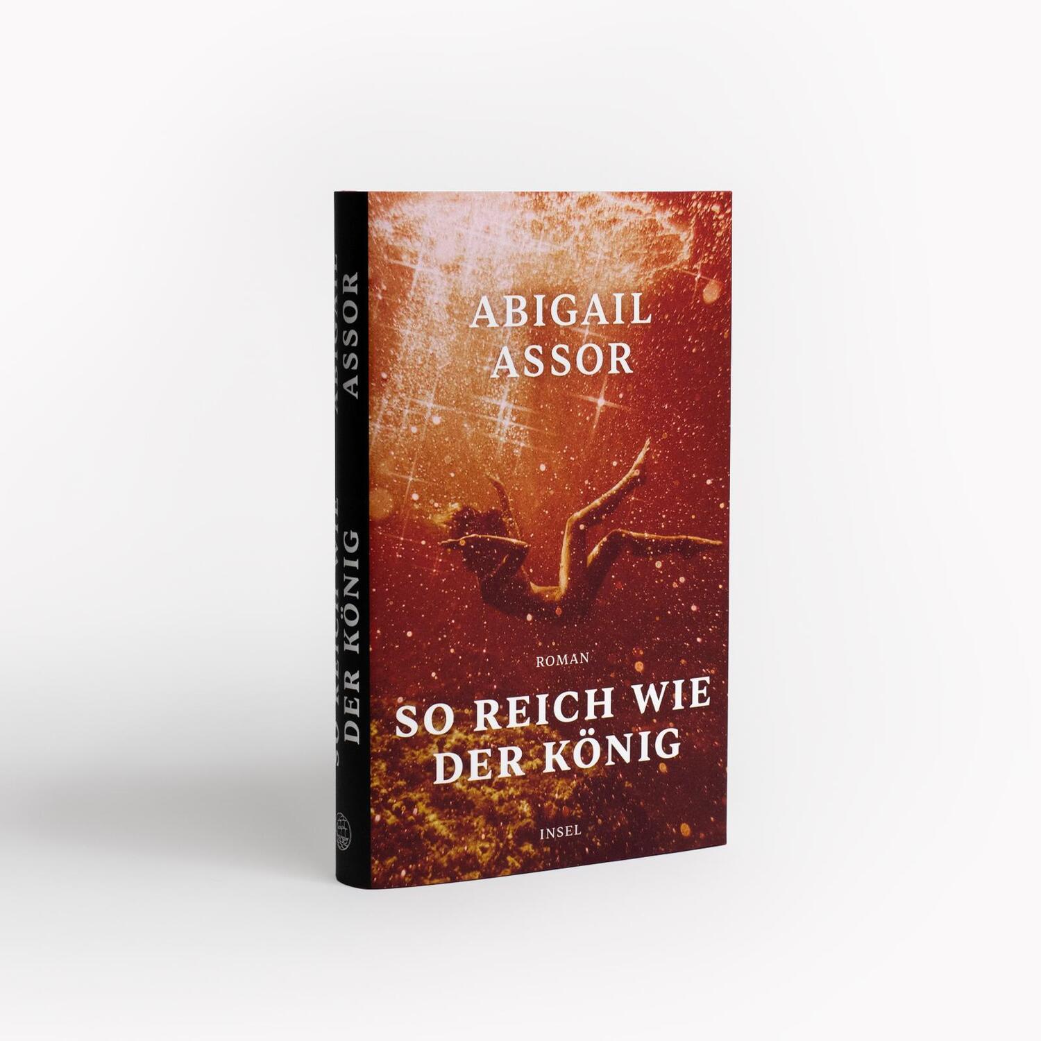 Bild: 9783458642848 | So reich wie der König | Roman | Abigail Assor | Buch | 224 S. | 2022