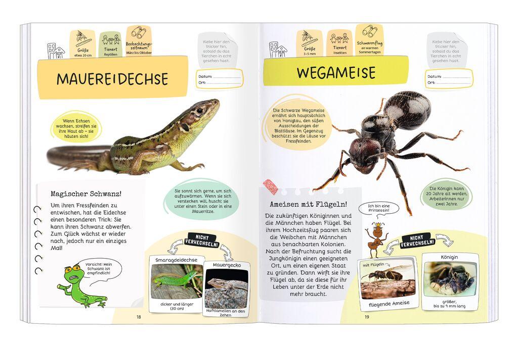 Bild: 9783964553171 | Expedition Natur Rätseln, Stickern, Bestimmen - Insekten &amp; Co. | Buch