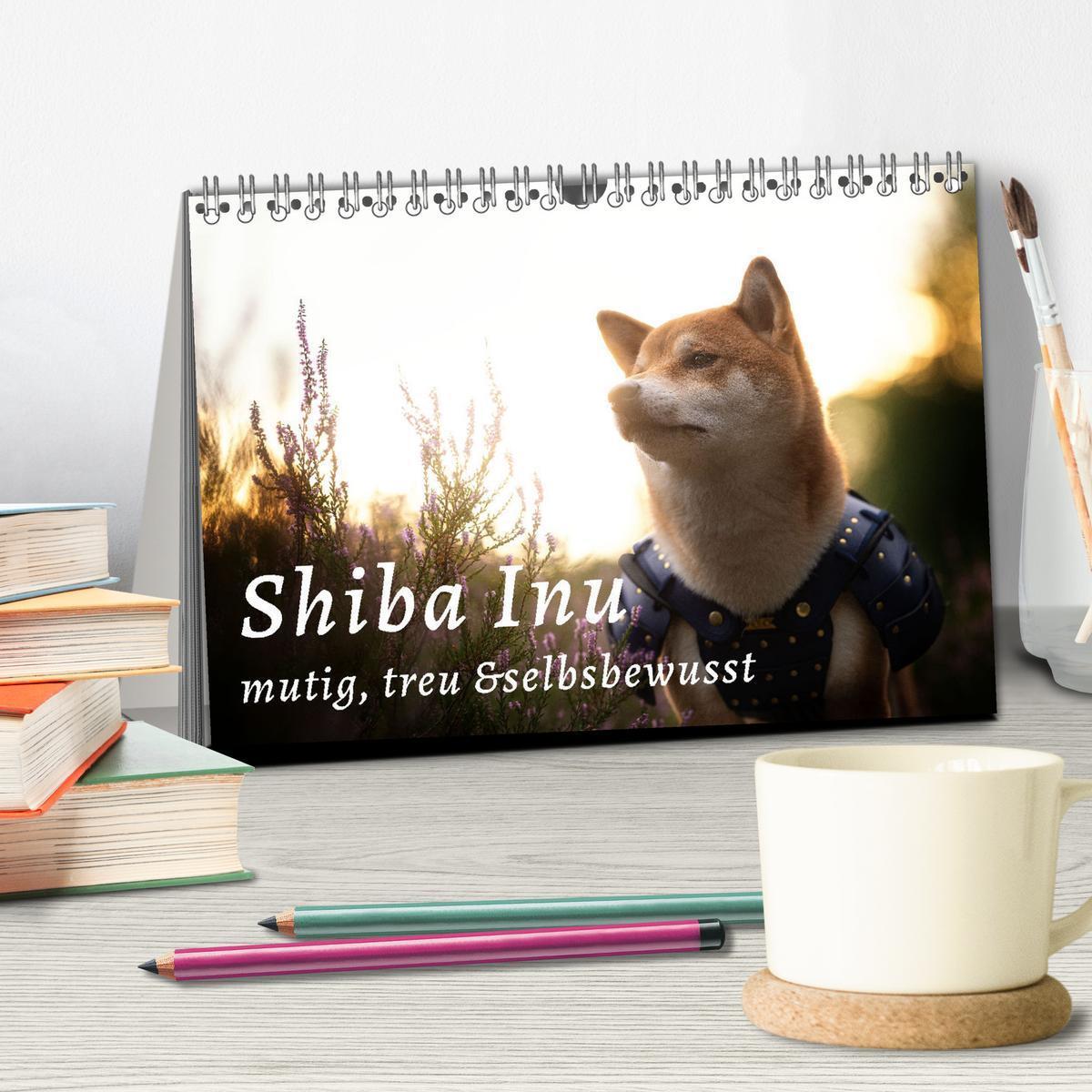 Bild: 9783435050956 | Shiba Inu - mutig, treu, selbstbewusst (Tischkalender 2025 DIN A5...