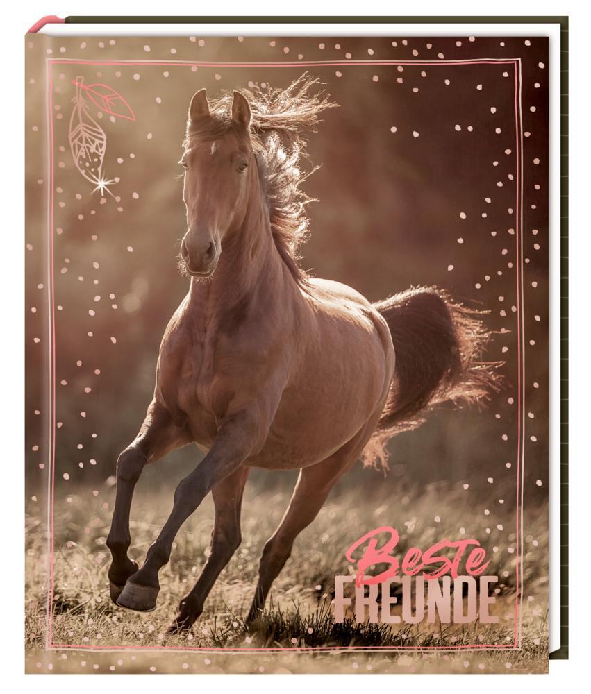 Cover: 4050003715537 | Freundebuch - I LOVE HORSES - Beste Freunde | (Foto) | Buch | 96 S.