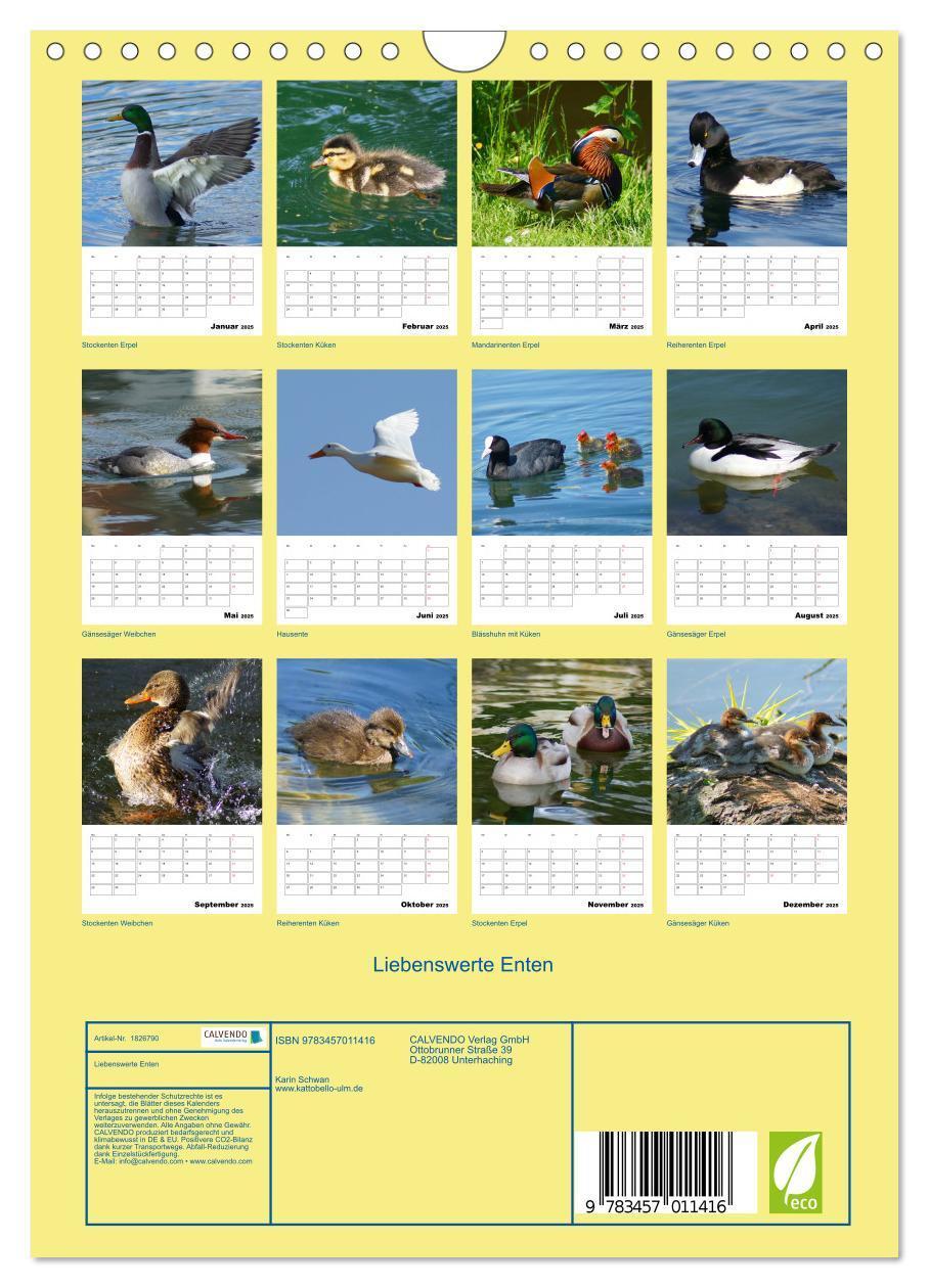 Bild: 9783457011416 | Liebenswerte Enten (Wandkalender 2025 DIN A4 hoch), CALVENDO...