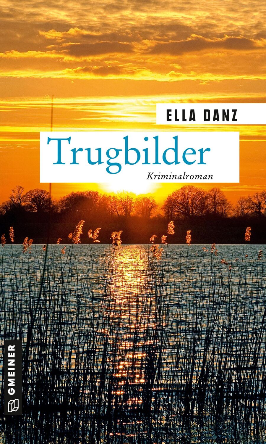 Cover: 9783839227909 | Trugbilder | Angermüllers 11. Fall | Ella Danz | Taschenbuch | 374 S.