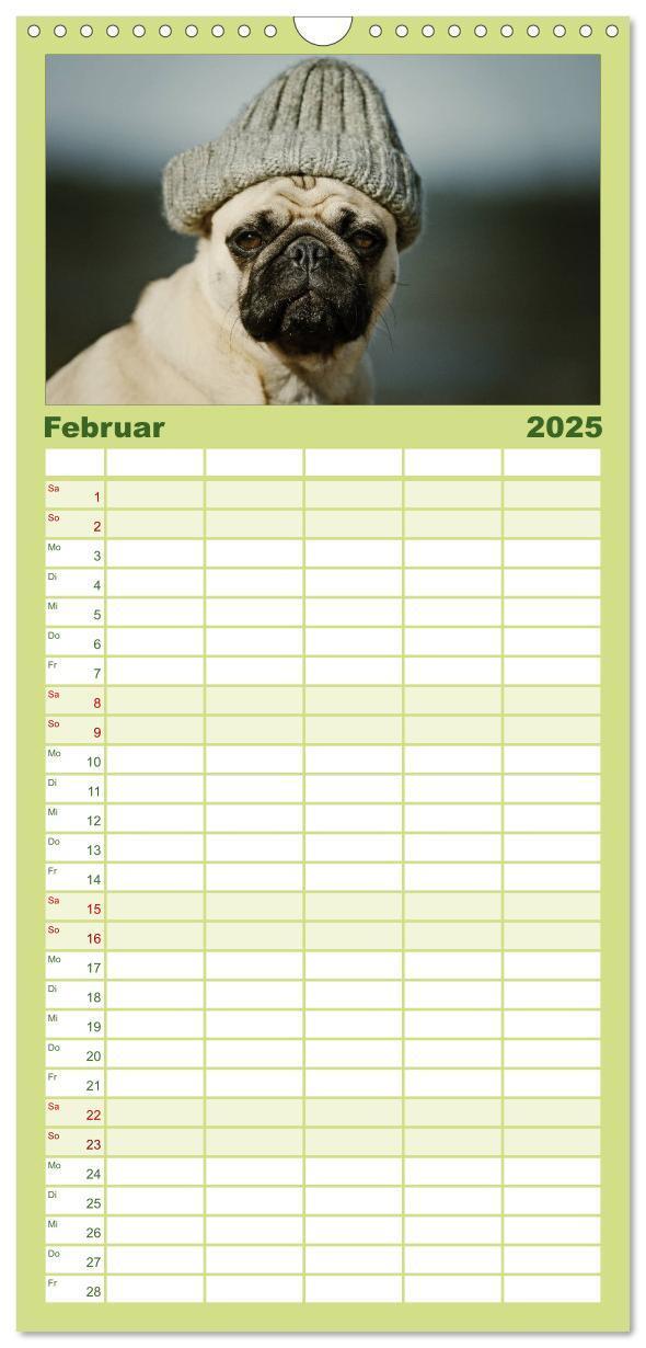 Bild: 9783457119709 | Familienplaner 2025 - Der MOPS-Kalender mit 5 Spalten...