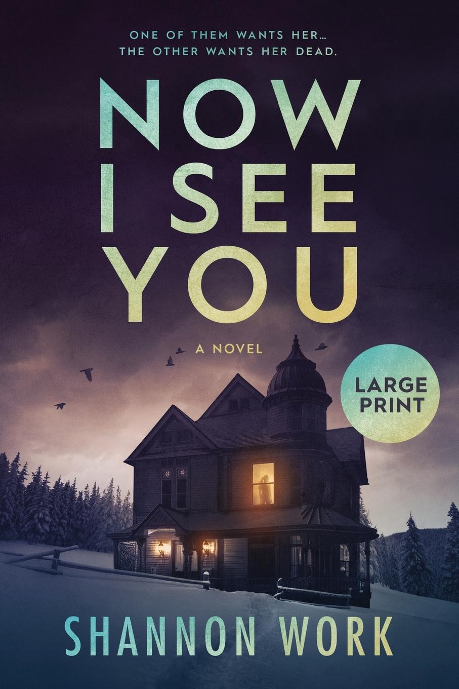 Cover: 9781735435329 | Now I See You | Large Print | Shannon Work | Taschenbuch | Englisch