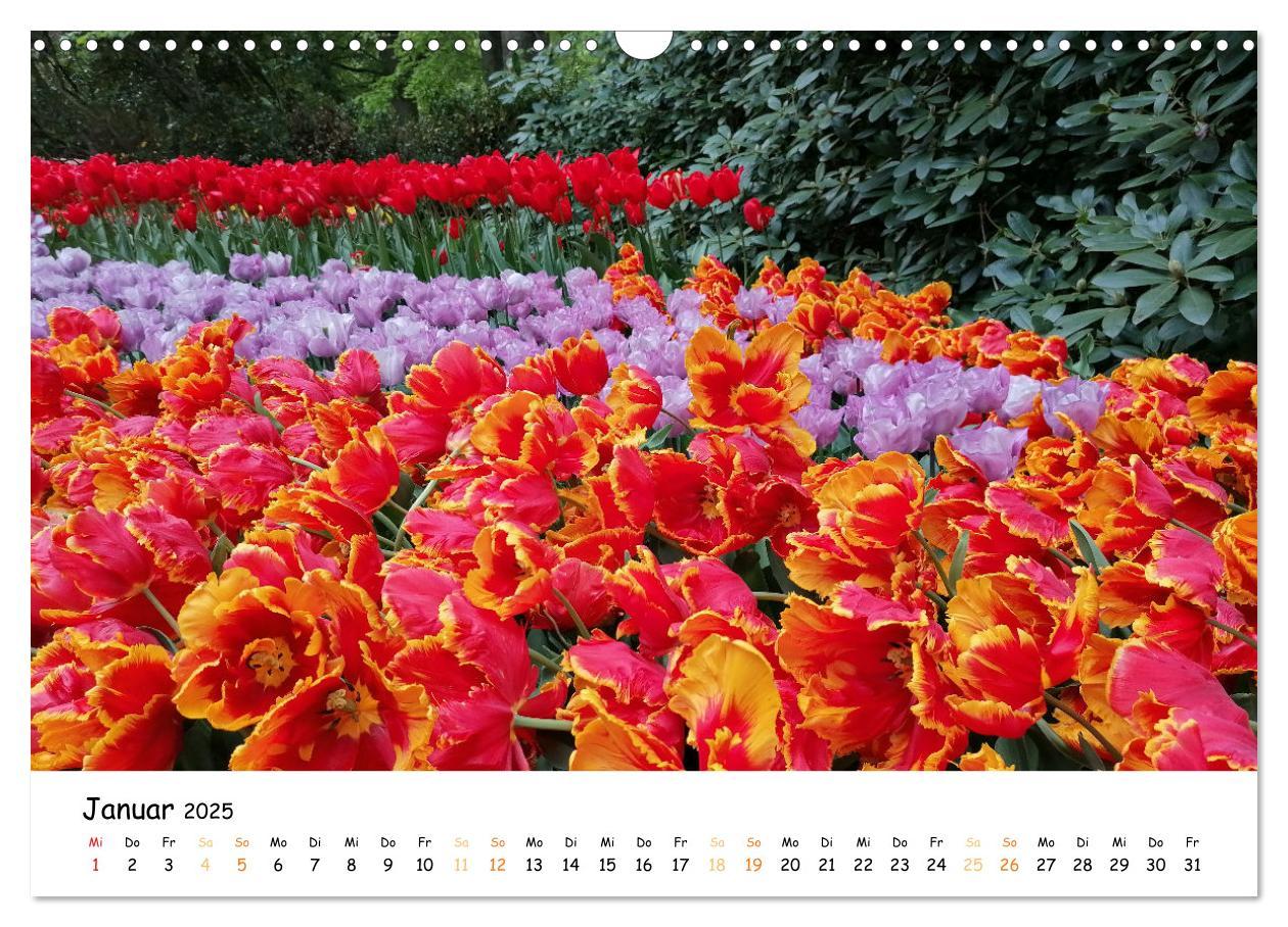 Bild: 9783383924354 | Auf Tour im Land der Tulpen (Wandkalender 2025 DIN A3 quer),...