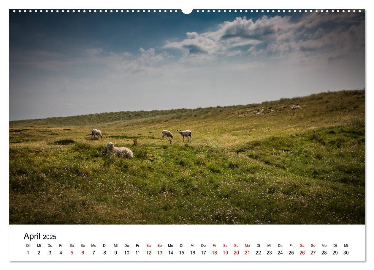 Bild: 9783435442805 | Ein Sommer auf Sylt (Wandkalender 2025 DIN A2 quer), CALVENDO...