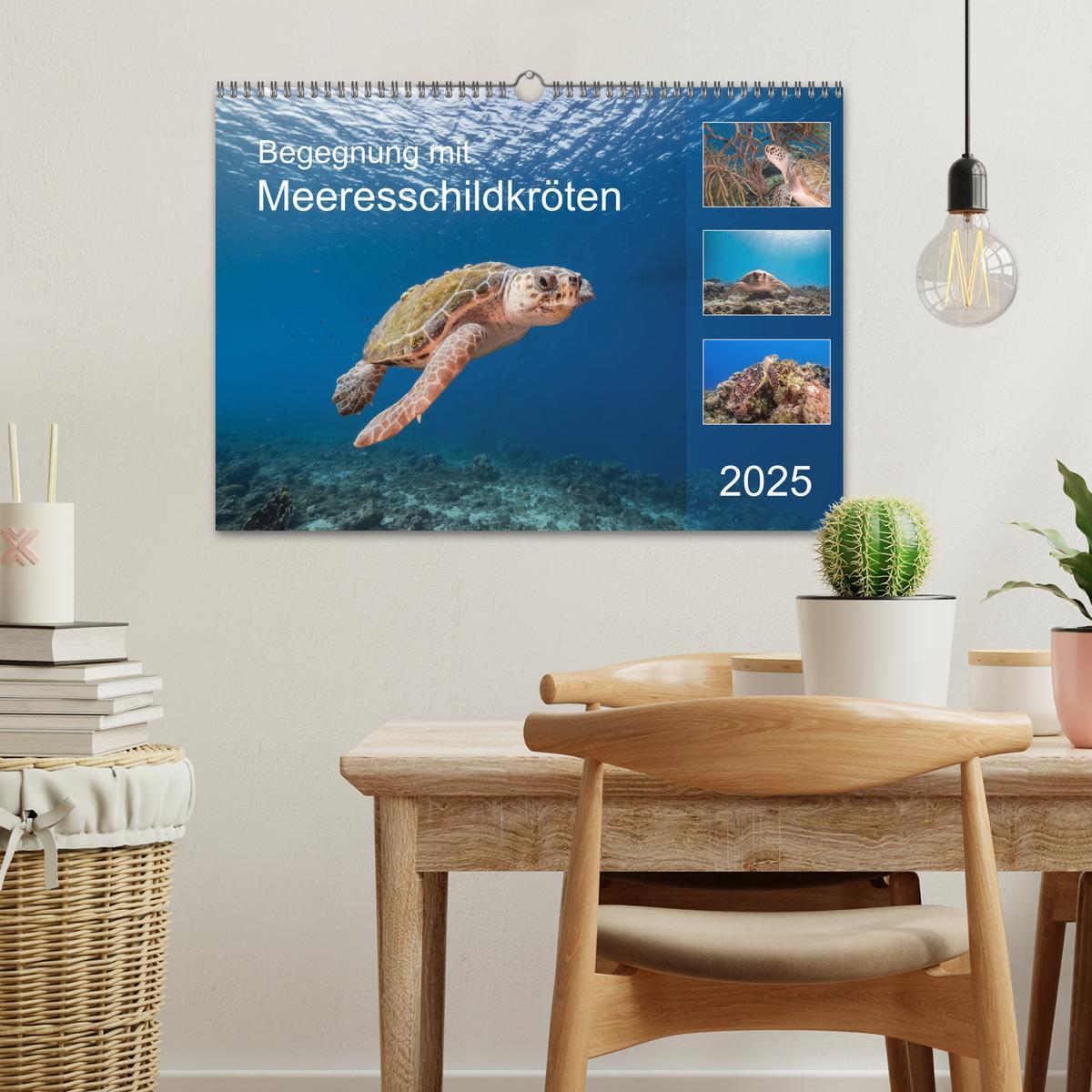 Bild: 9783435204496 | Begegnung mit Meeresschildkröten (Wandkalender 2025 DIN A3 quer),...