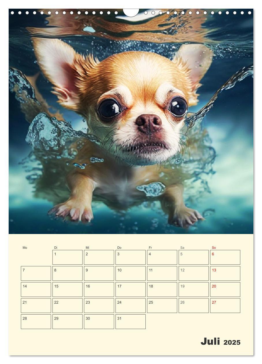 Bild: 9783435875672 | Witzige Chihuahuas. Glückliche Temperamentbündel (Wandkalender 2025...