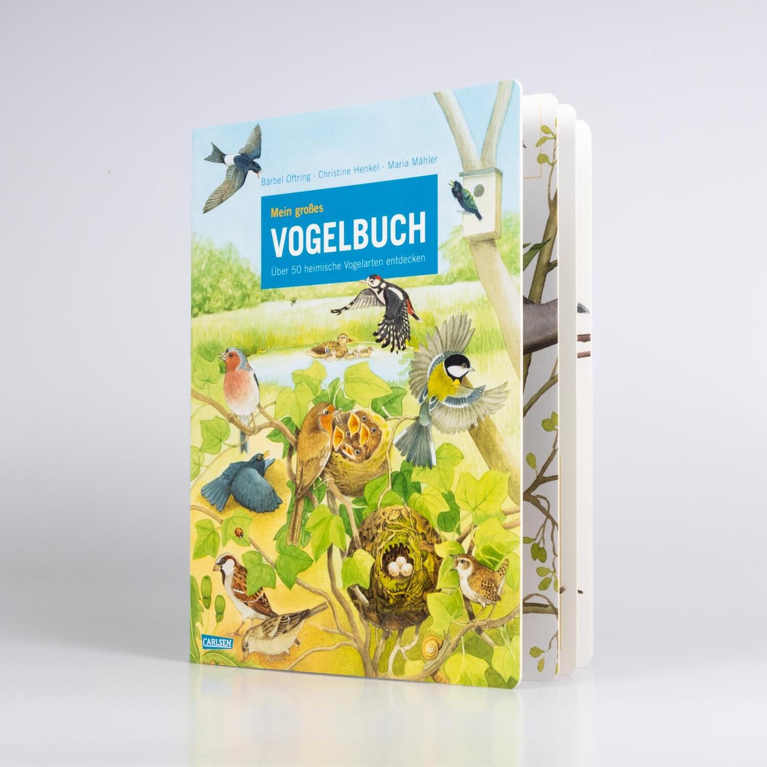 Bild: 9783551255013 | Mein großes Vogelbuch | Über 50 heimische Vogelarten entdecken | Buch