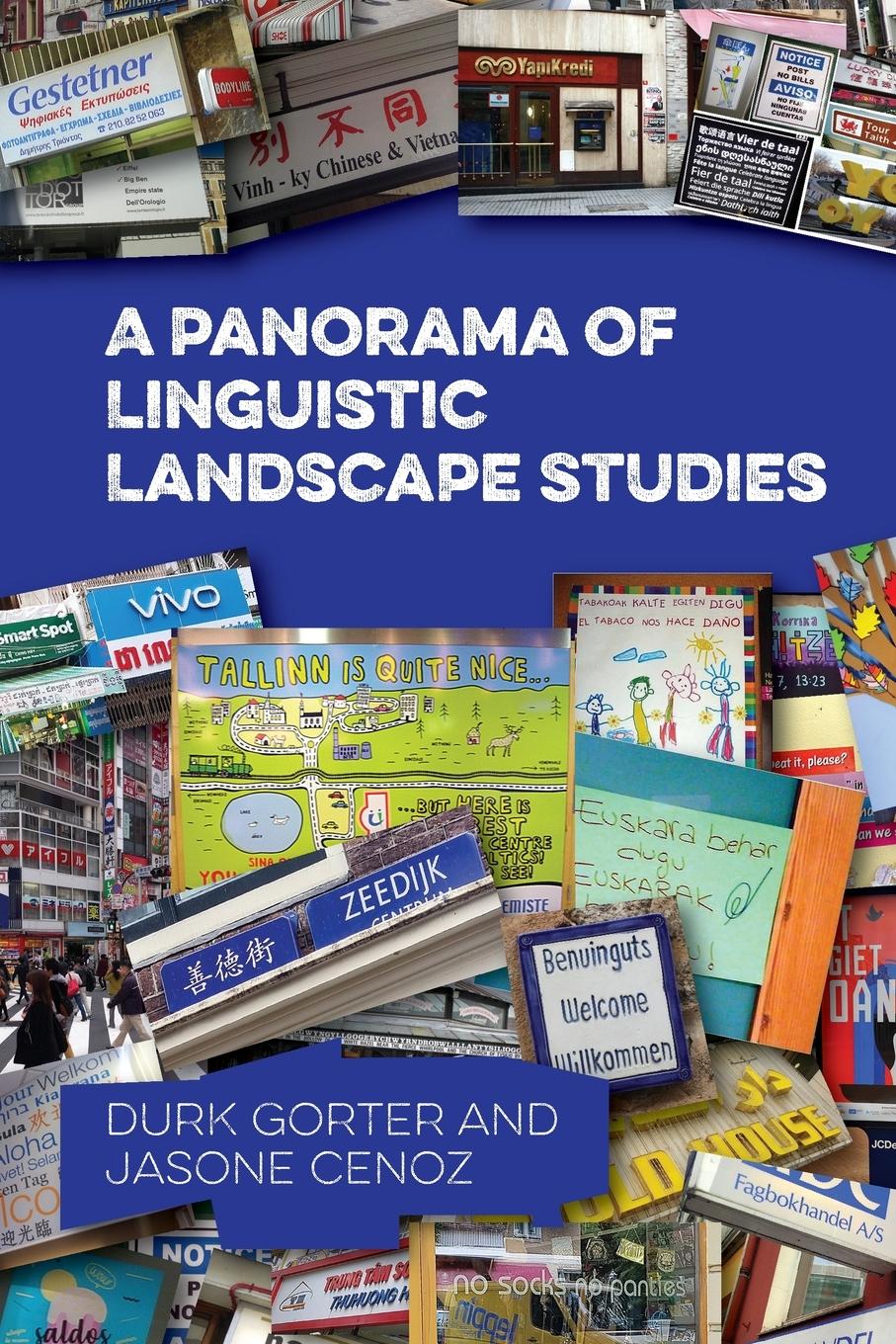 Cover: 9781800417137 | A Panorama of Linguistic Landscape Studies | Durk Gorter (u. a.)