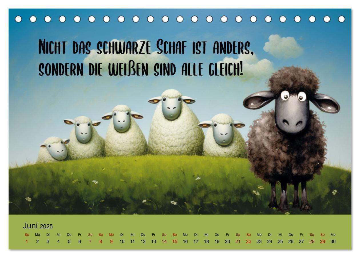 Bild: 9783383825903 | Schafsprüche (Tischkalender 2025 DIN A5 quer), CALVENDO Monatskalender