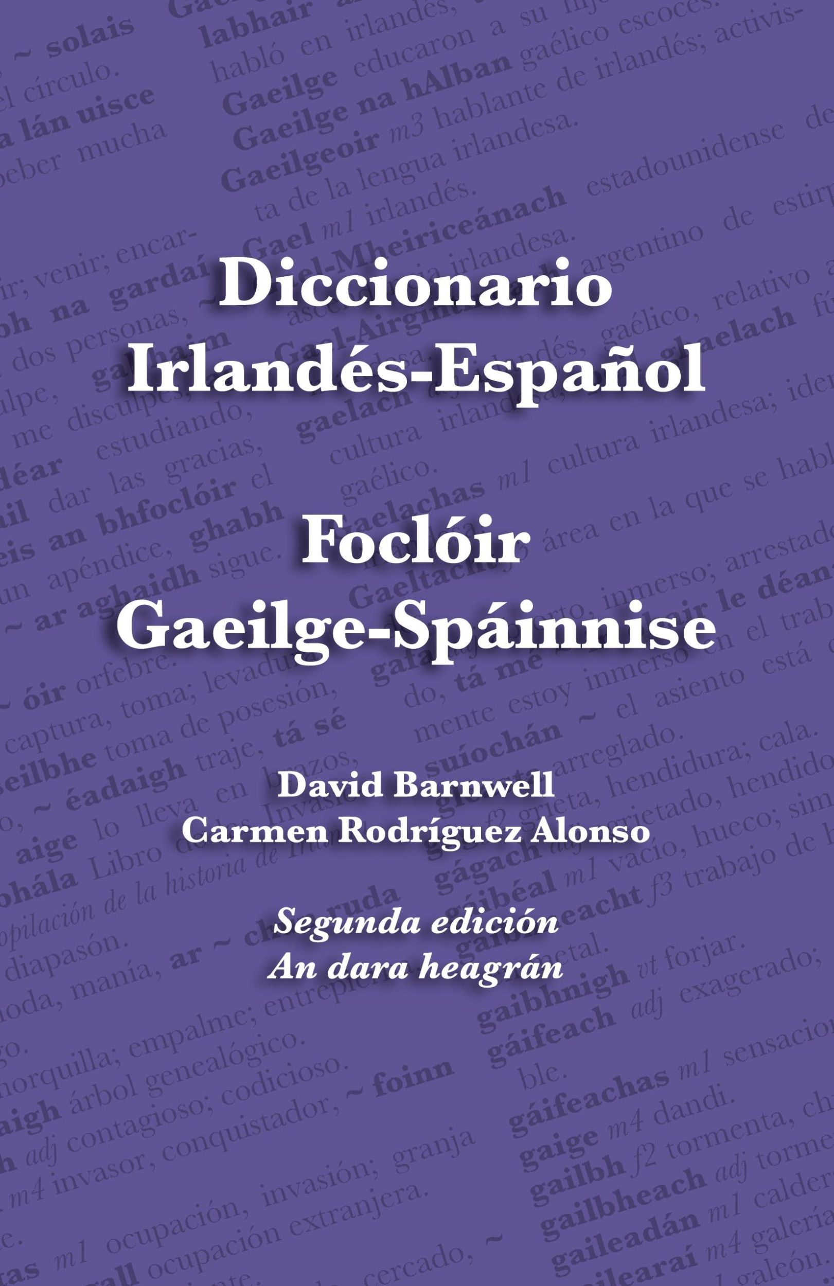 Cover: 9781782012986 | Diccionario Irlandés-Español - Foclóir Gaeilge-Spáinnise | Taschenbuch