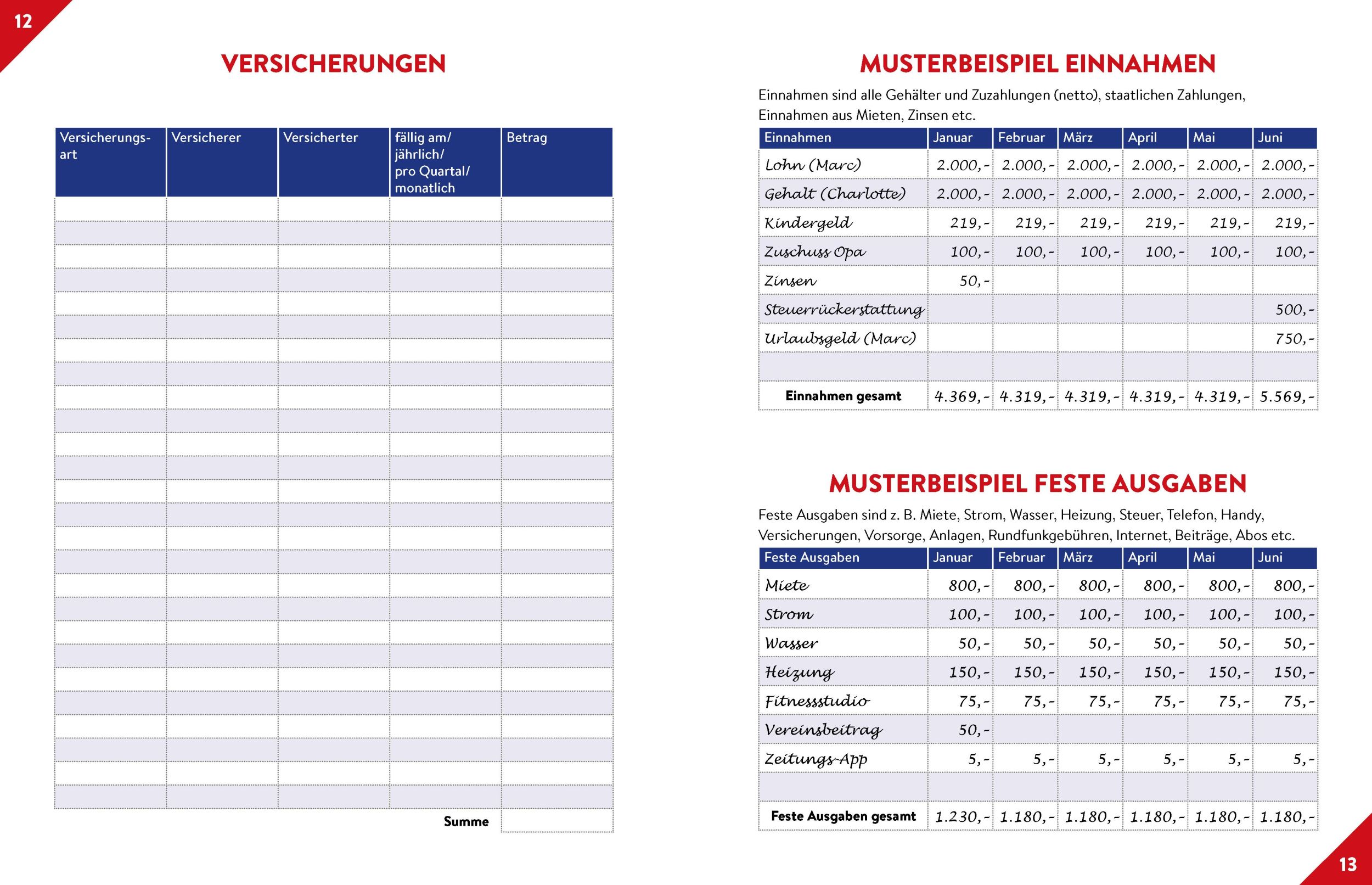 Bild: 9783625193807 | Haushaltsplaner | Taschenbuch | Alle Kosten im Griff | 96 S. | Deutsch