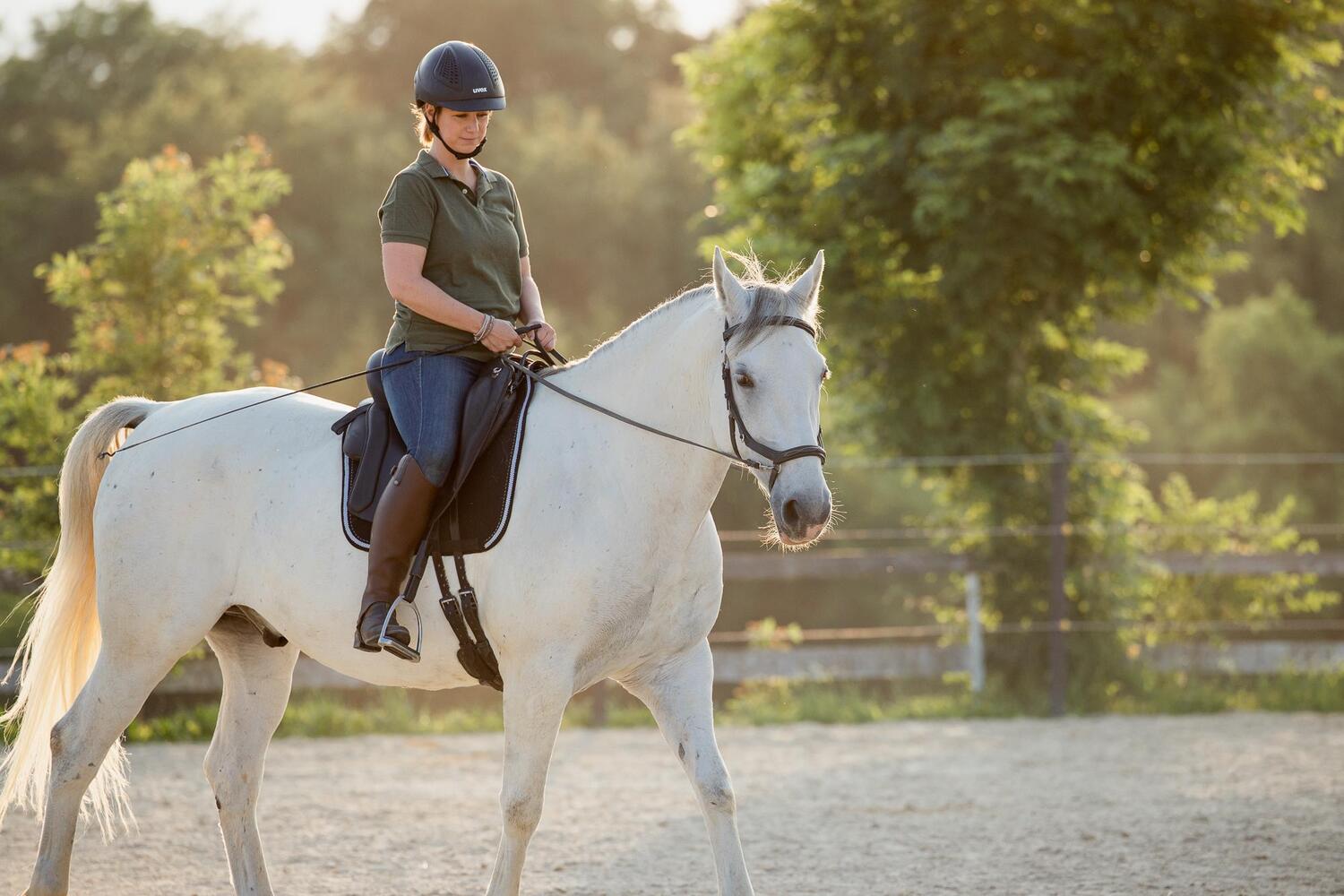 Bild: 9783275023011 | Einfach (An)Reiten | Anreiten und Training selbst in die Hand nehmen