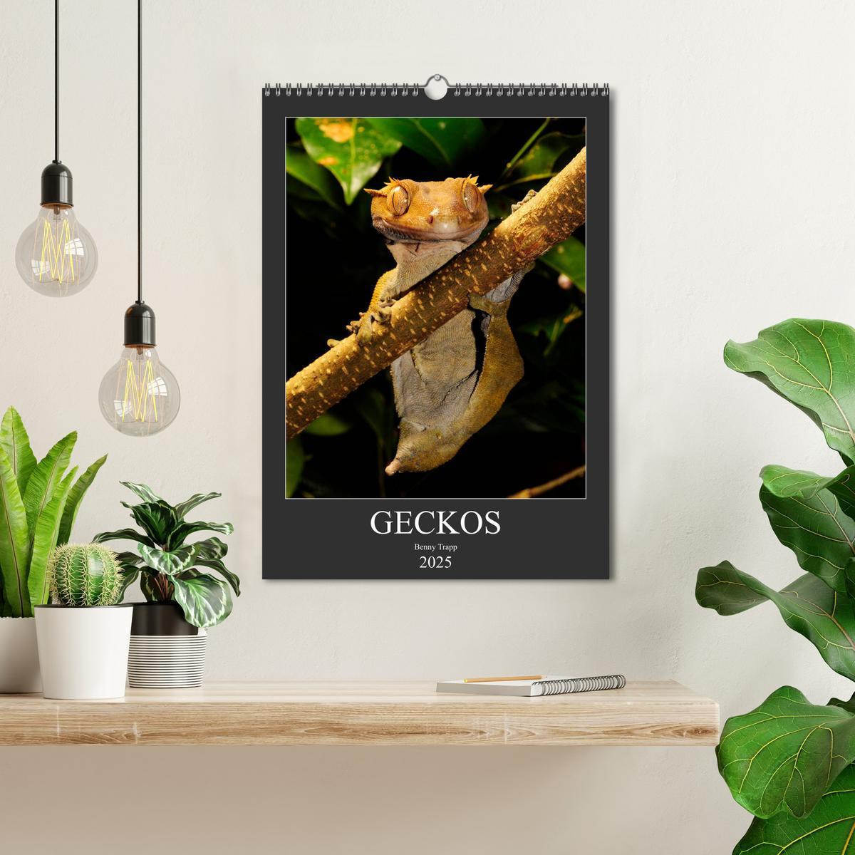 Bild: 9783435993901 | GECKOS (Wandkalender 2025 DIN A3 hoch), CALVENDO Monatskalender | 2025