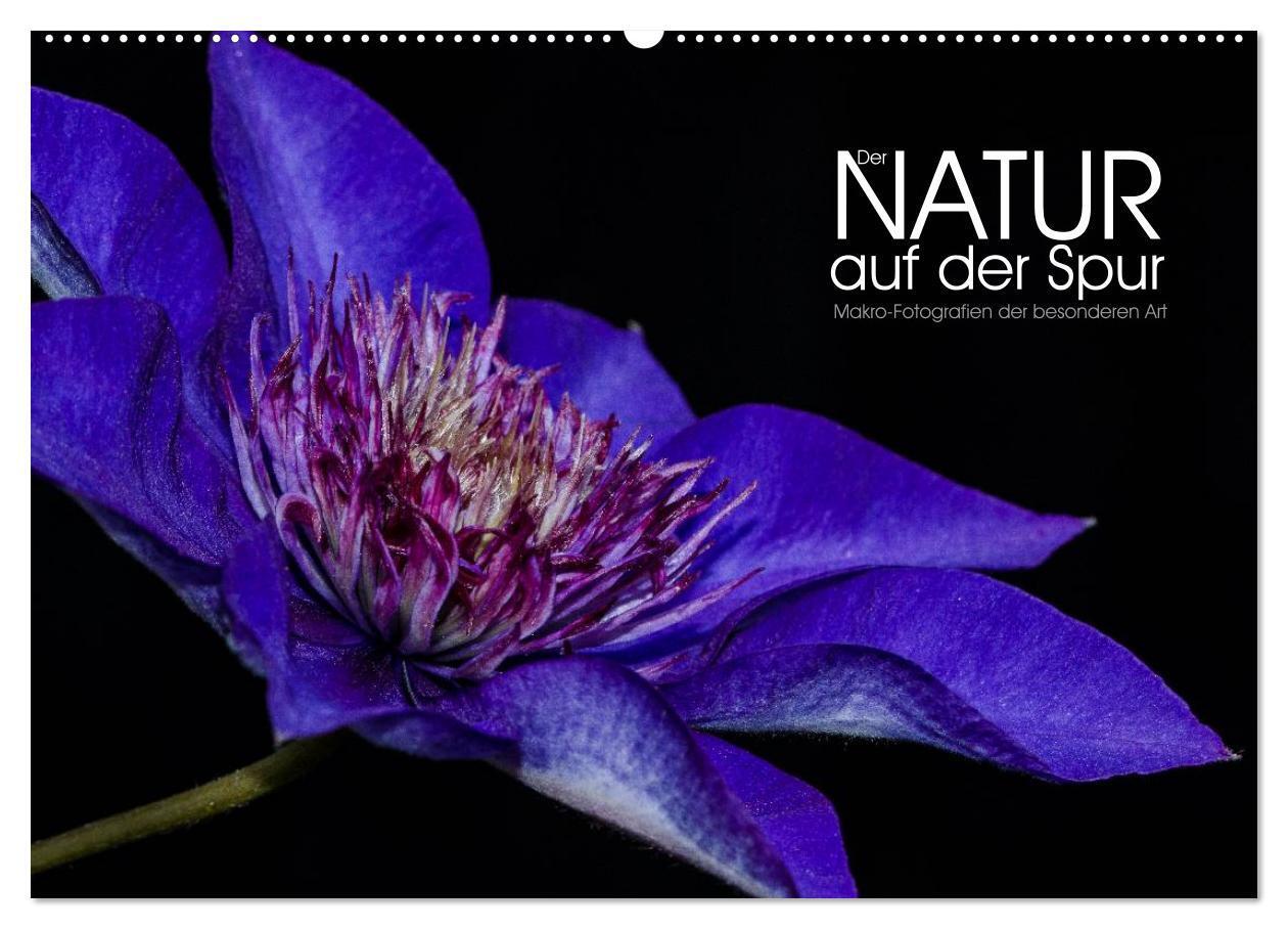 Cover: 9783435611454 | Der Natur auf der Spur - Makro-Fotografien der besonderen Art...