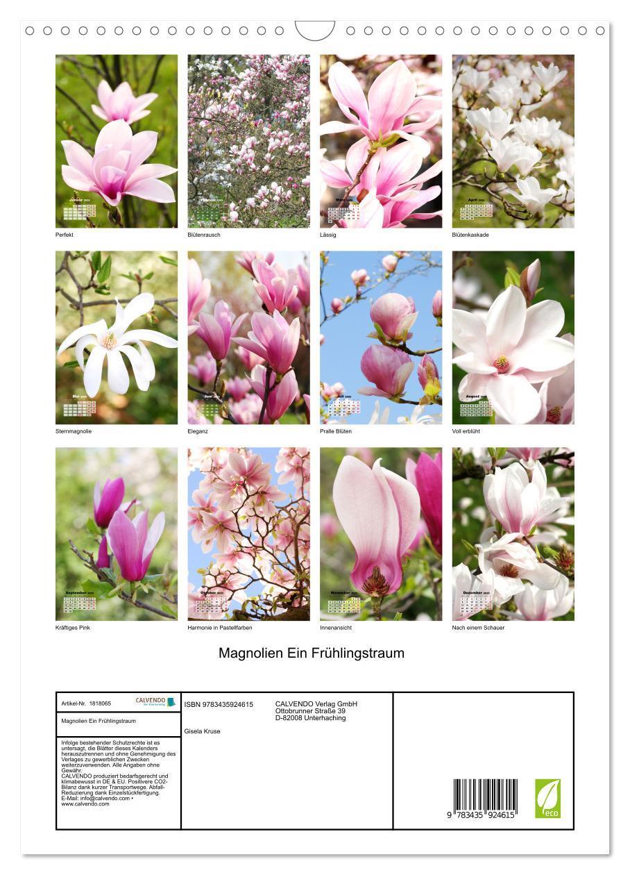 Bild: 9783435924615 | Magnolien Ein Frühlingstraum (Wandkalender 2025 DIN A3 hoch),...