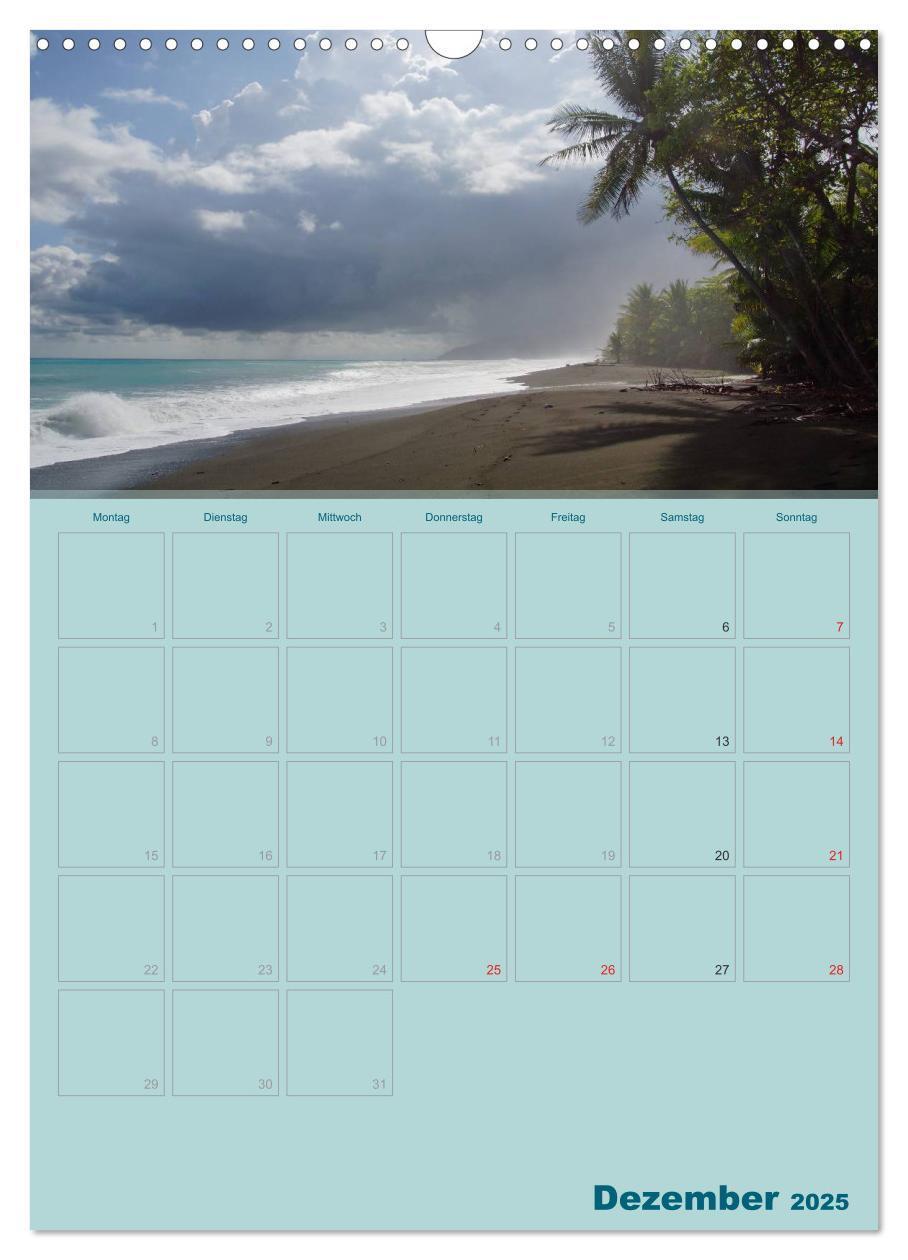 Bild: 9783457049389 | Karibik - Sonne, Strand und Palmen (Wandkalender 2025 DIN A3 hoch),...