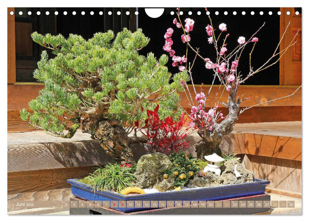 Bild: 9783457198117 | Gartenkunst aus Japan: Bonsai (Wandkalender 2025 DIN A4 quer),...