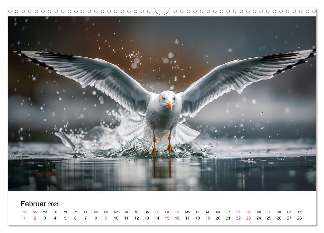 Bild: 9783457162453 | Maritim pur - Möwen (Wandkalender 2025 DIN A3 quer), CALVENDO...