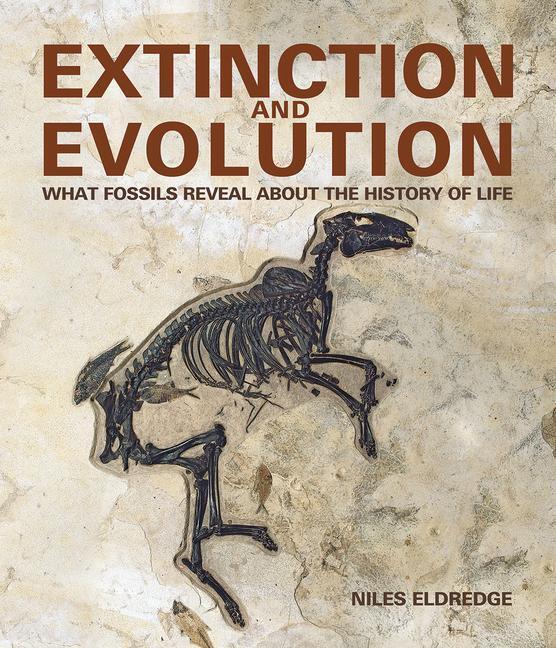 Cover: 9780228101871 | Extinction and Evolution | Niles Eldredge | Taschenbuch | Englisch