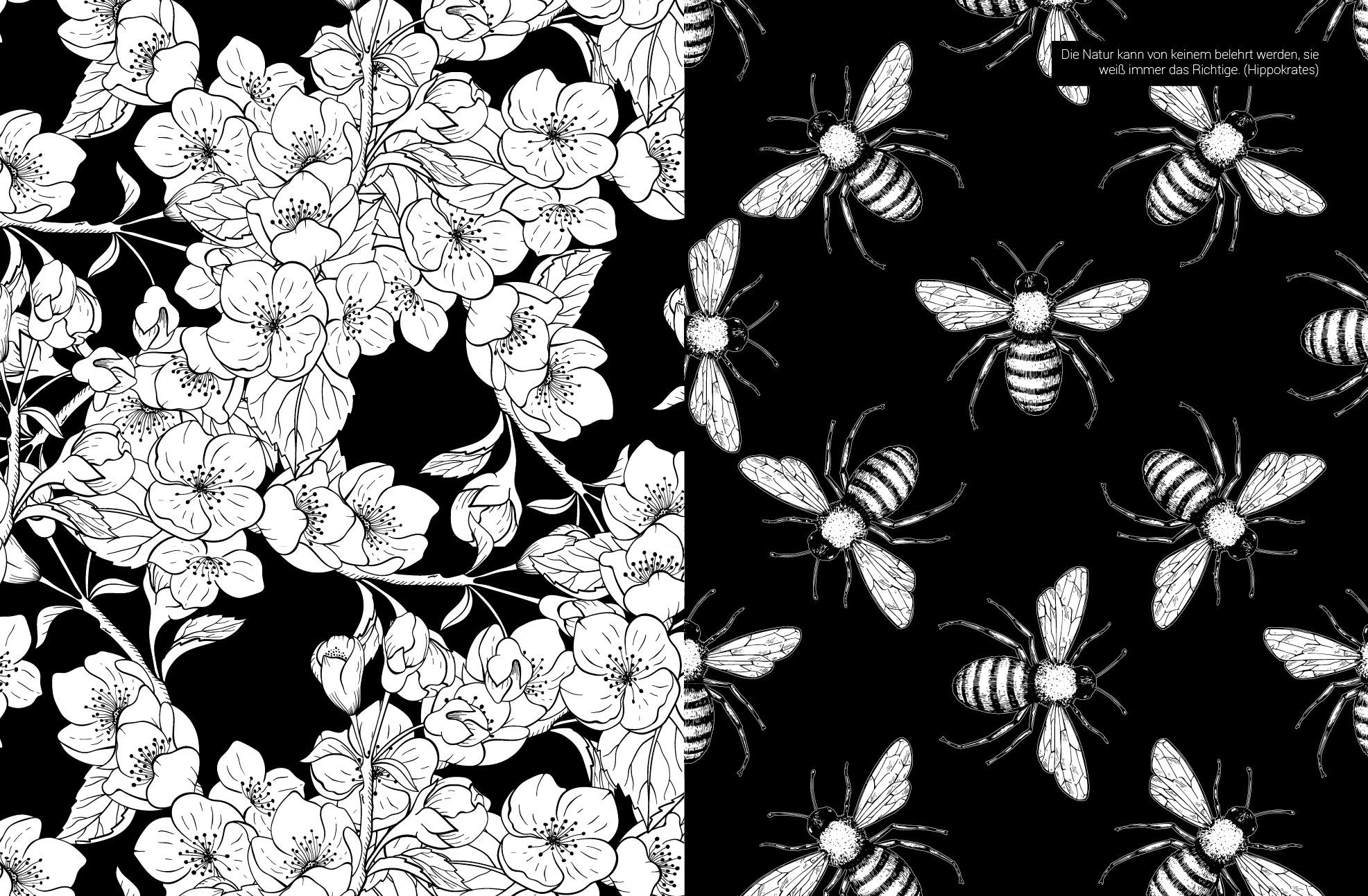 Bild: 9783745909302 | Black Edition: Blumenwiese - 50 Motive zum Ausmalen für mehr...