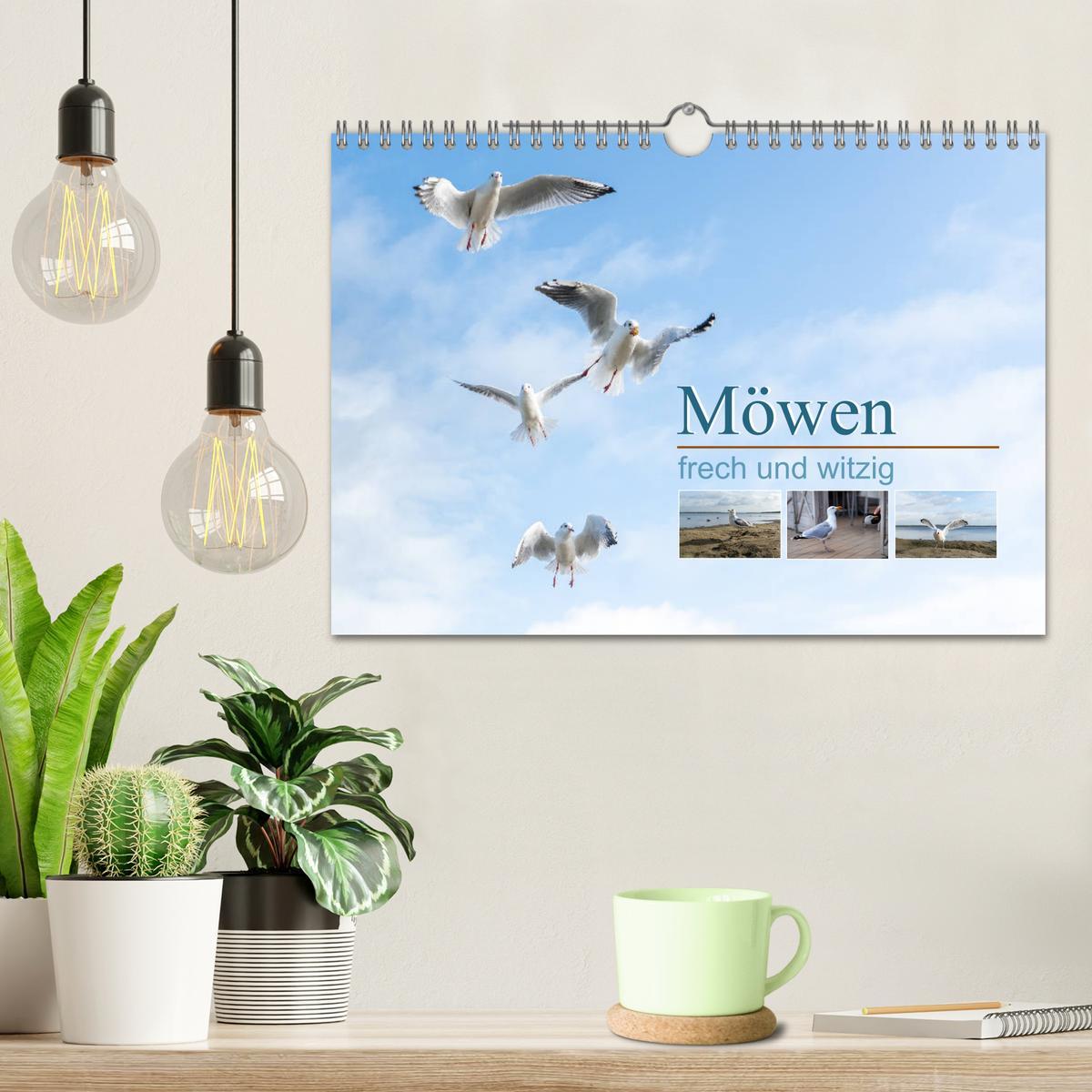 Bild: 9783435177943 | Möwen frech und witzig (Wandkalender 2025 DIN A4 quer), CALVENDO...