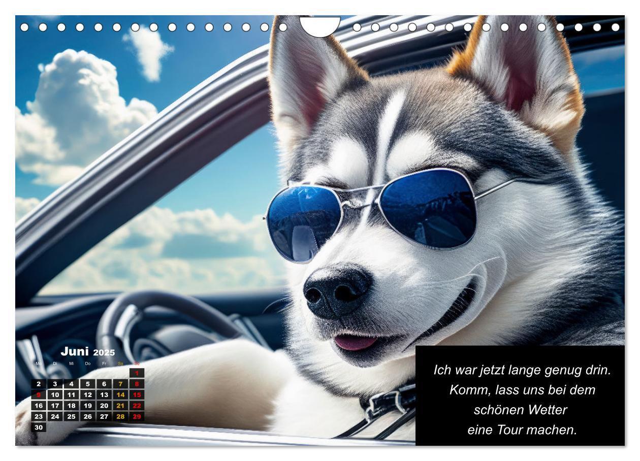 Bild: 9783435639878 | Der tierisch lustige Husky Kalender (Wandkalender 2025 DIN A4...