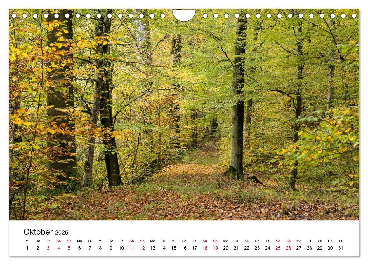 Bild: 9783435465026 | Wege in der Natur - Kraichgau und Enzkreis (Wandkalender 2025 DIN...