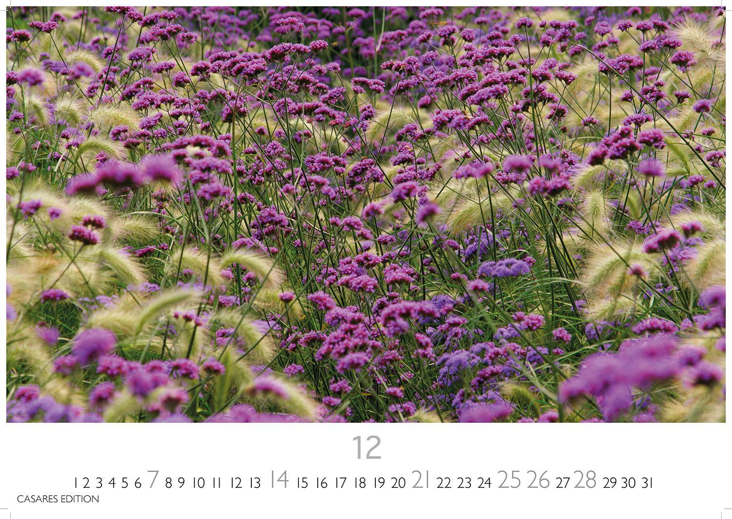 Bild: 9781835242186 | Blumenwiese 2025 L 35x50cm | Kalender | 14 S. | Deutsch | 2025