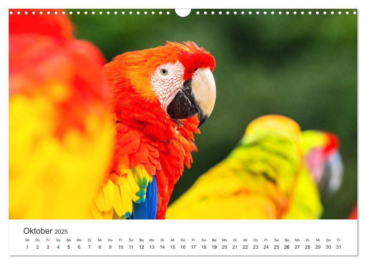 Bild: 9783435153534 | Costa Rica - exotische Tierwelt und unberührte Natur (Wandkalender...