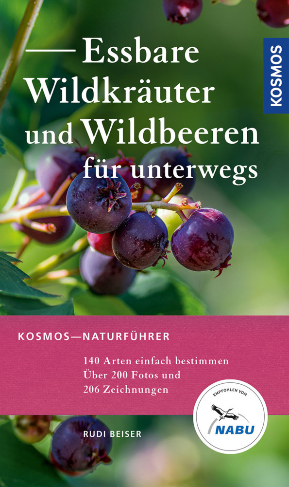 Cover: 9783440174081 | Essbare Wildkräuter und Wildbeeren für unterwegs | Rudi Beiser | Buch