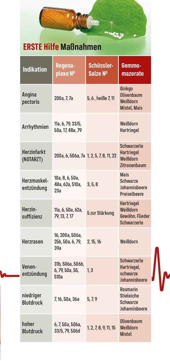 Bild: 9783945181317 | Blutdruck | Herz, Kreislauf und Gefäße | Andreas Nieswandt | Buch