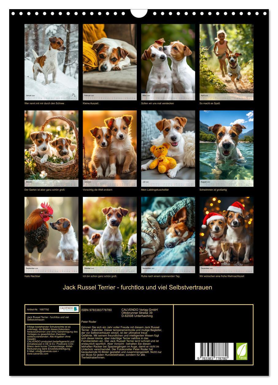 Bild: 9783383778780 | Jack Russel Terrier - furchtlos und viel Selbstvertrauen...