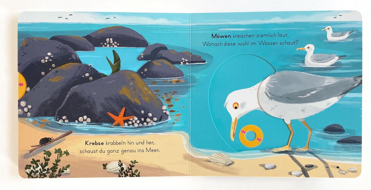 Bild: 9783328302094 | Komm mit nach draußen! - Tiere am Meer | Susanne Schiefelbein | Buch