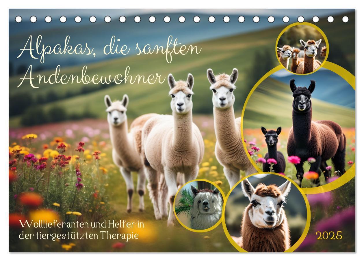 Cover: 9783457189641 | Alpakas, die sanften Andenbewohner (Tischkalender 2025 DIN A5...