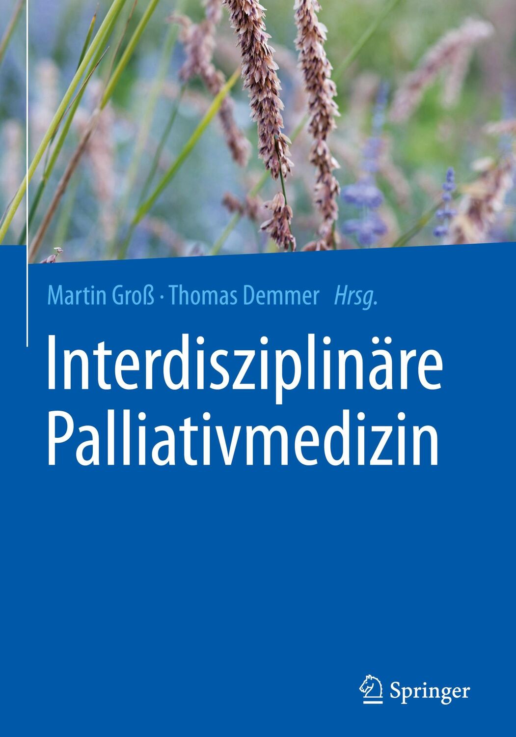 Cover: 9783662620106 | Interdisziplinäre Palliativmedizin | Martin Groß (u. a.) | Buch | XX